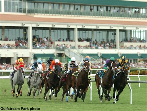 live racing at gulfstream|Gulfstream Park Race Course: Horse Racing Track News in Florida.